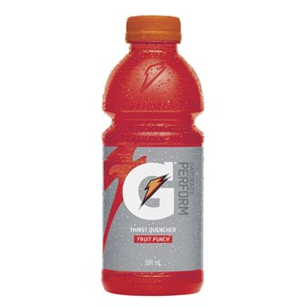 GATORADE Fruit Punch 591 ml