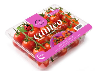 Windset Farms Cameo Cherry Tomatoes, 1 ct