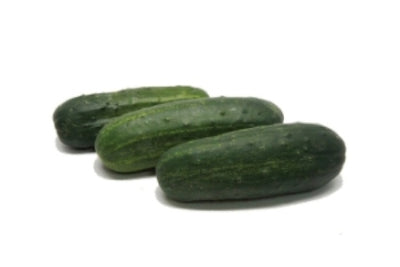 CUCUMBERS FIELD/WHITE SPINE 1 kg