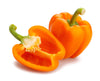 ORANGE BELL PEPPER