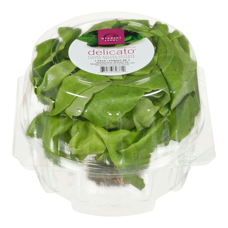 Windset Farms Delicato Lettuce, 1 ct