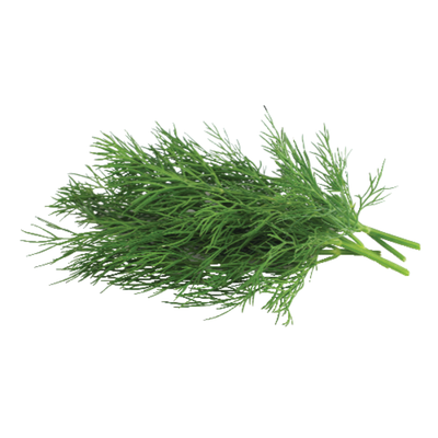 Dill, 1 ct