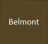 BELMONT Regular Carton (10 Packs)