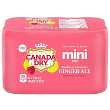 CANADA DRY GINGER ALE MINI CAN 222 ml