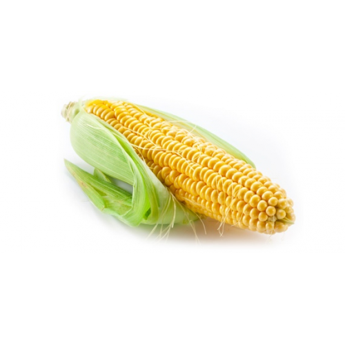 Corn 3 Pack