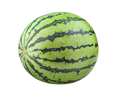 BABY WATERMELON