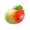 MANGOS CASE 1 ea