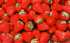 STRAWBERRIES 1lb