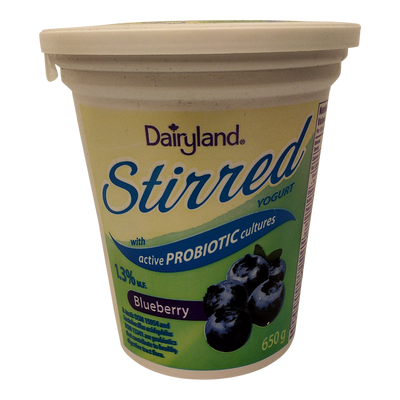 DAIRYLAND Stirred Yogurt Blueberry 650g