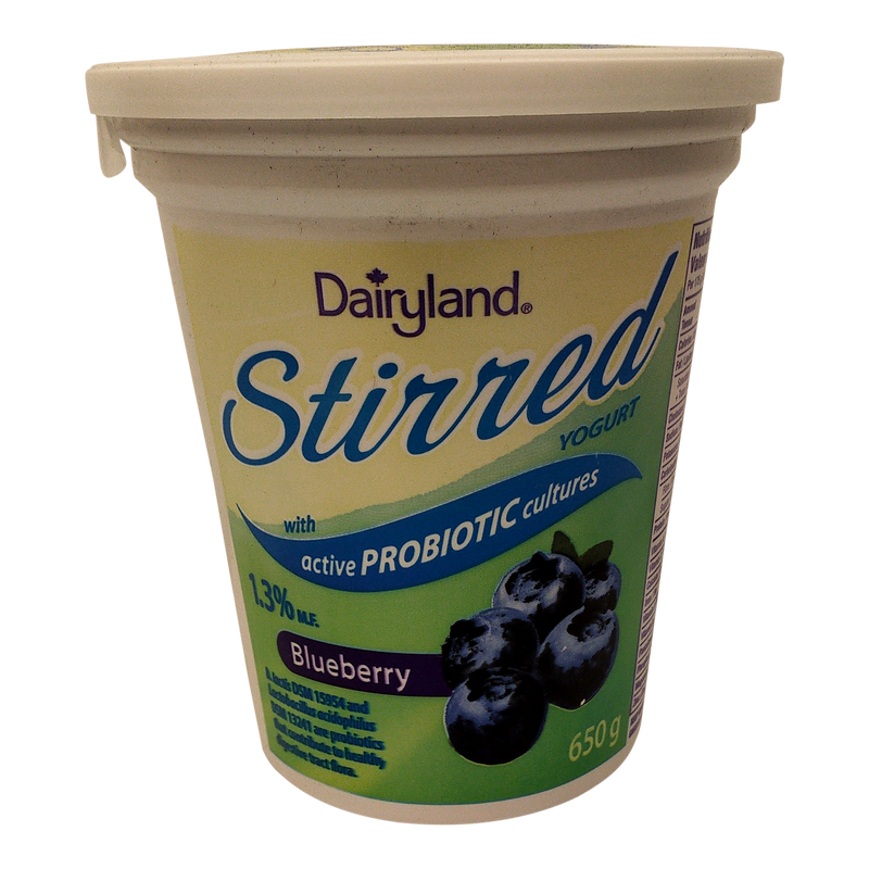 DAIRYLAND Stirred Yogurt Blueberry 650g
