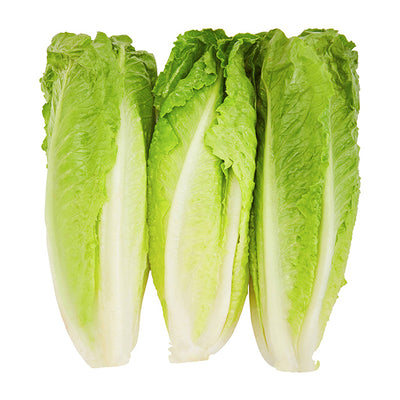 Bramble Romaine Hearts, 1 ct