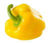 YELLOW BELL PEPPER