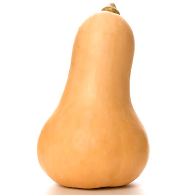 Butternut Squash, 1 ct