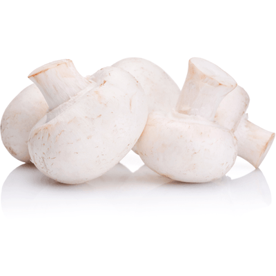 WHITE BUTTON MUSHROOMS