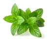 GREENWAY FARMS MINT 28G 1 ea