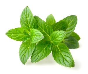 GREENWAY FARMS MINT 28G 1 ea