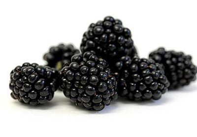 ORGANIC BLACKBERRIES 6OZ 170 g