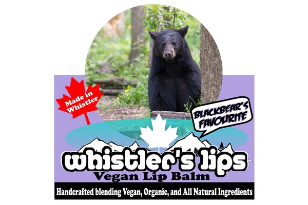 BLACK BEAR BALMS CHAPSTICK 1 ea