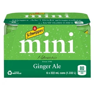 SCHWEPPES Ginger Ale 222g