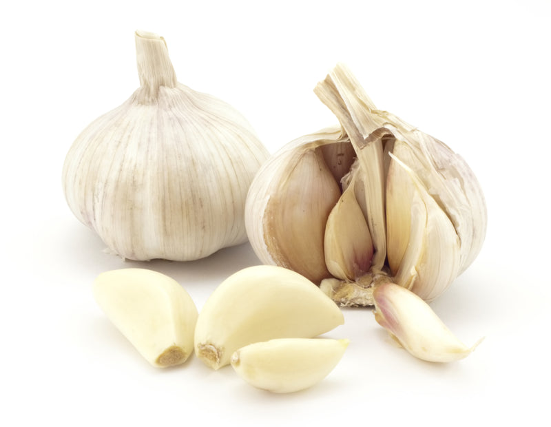 Garlic 3 pack