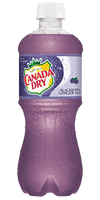 Canada Dry Blackberry Ginger Ale, 1 ct