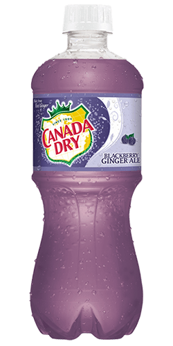 Canada Dry Blackberry Ginger Ale, 1 ct
