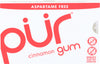 Pur Sugar-Free Cinnamon Chewing Gum, 9 pieces
