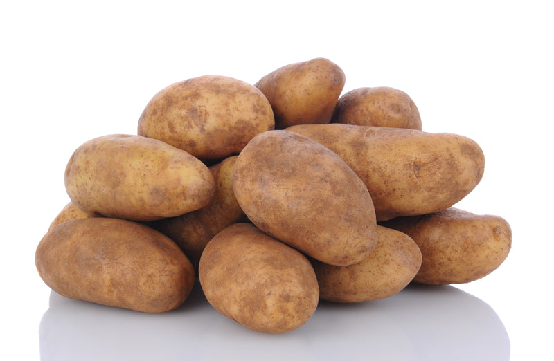 RUSSET POTATO