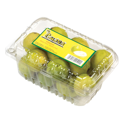 GUAVA PUNNET 1 ea