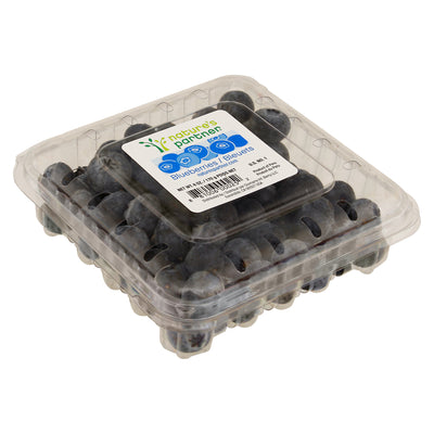 Nature's Partner Blueberries, 170 g
