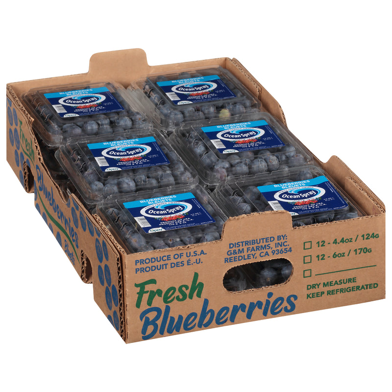 Ocean Spray Fresh Blueberries, 170 g, 12 ct