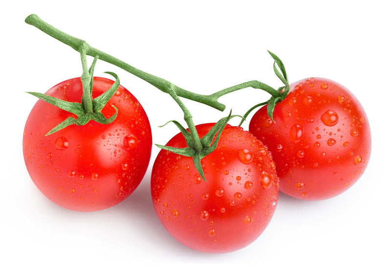 VINE RIPENED TOMATOES