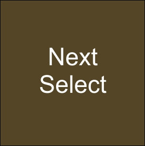 NEXT Select Regular 20's