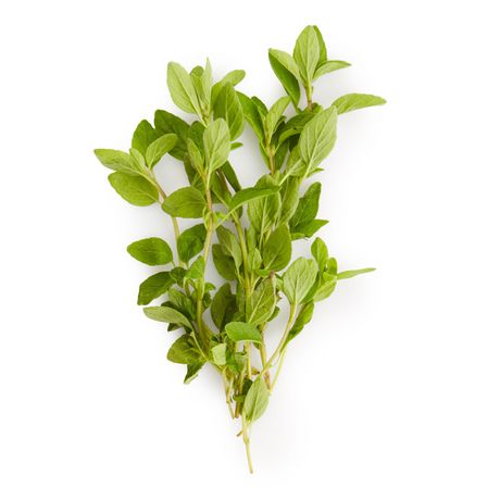 Oregano, 1ct