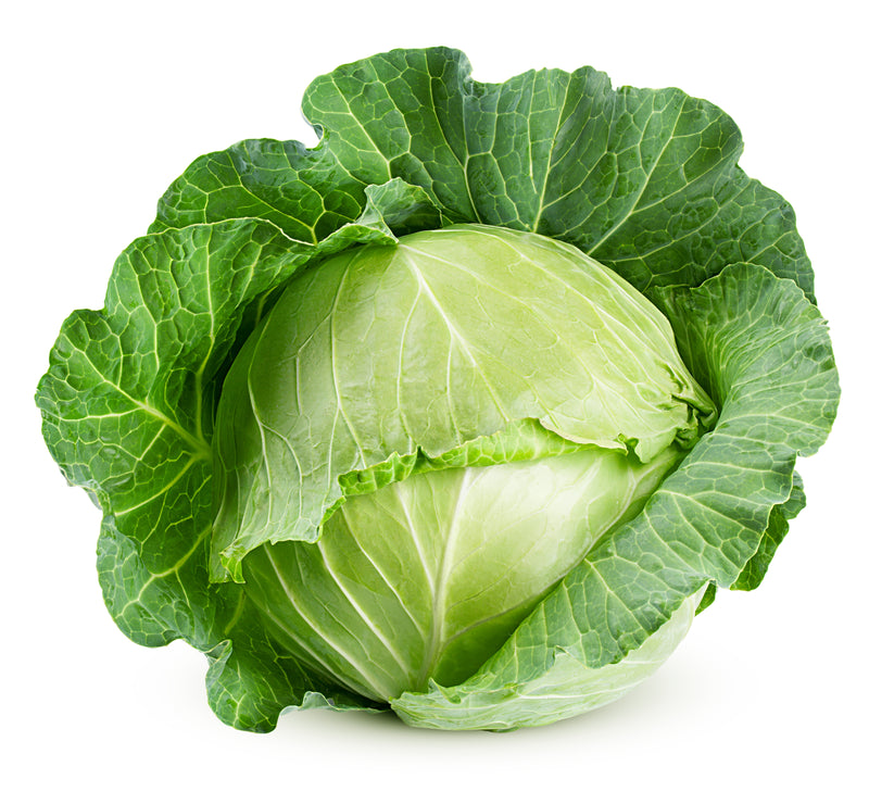 GREEN CABBAGE