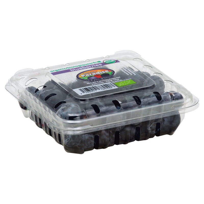 Berries Paradise Organic Biologiques Blueberries, 170 g