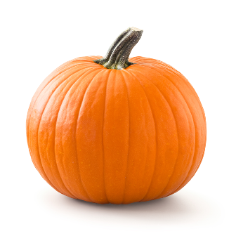 PUMPKIN 1 ea