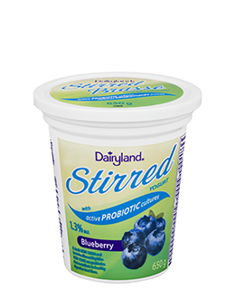 DAIRYLAND Yogurt blueberry 175g