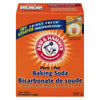 ARM & HAMMER Pure Baking Soda 500g