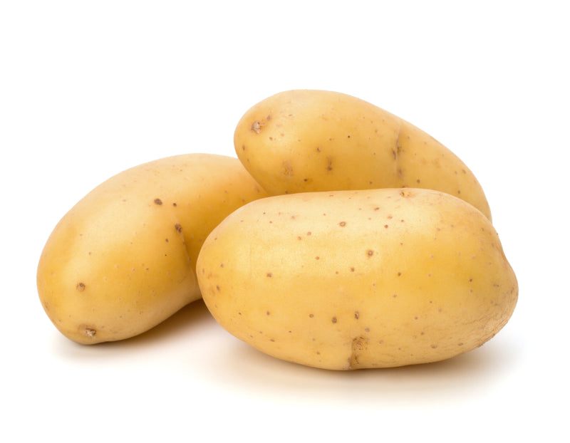 Baby/Nugget White Potato