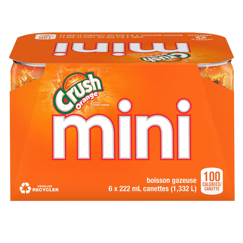 CRUSH Orange Soft Drink 222ml 6 Pack