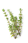 GREENWAY FARMS BABY THYME 28G 1 ea