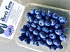 Hare's Farm Blueberries, 1 ct