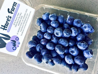 Hare's Farm Blueberries, 1 ct