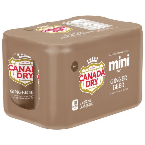 Canada Dry Mini Can Ginger Beer, 222 ml, 6 ct