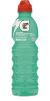 GATORADE Frost Blitz 710ml