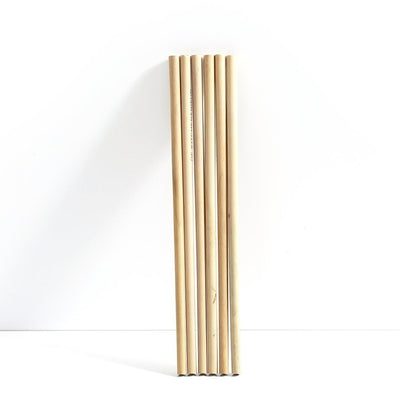 Future Is Bamboo Straws, 6ct