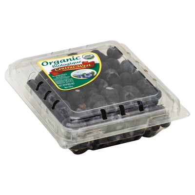 Central West Organic Blueberries, 170 g