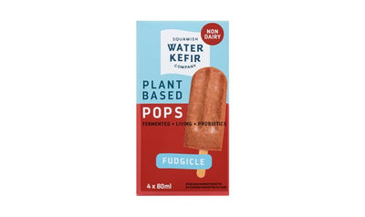 Squamish Water Kefir Company Plant Based Fudgsicle Pops, 80 mL, 4 ct