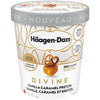 HAAGEN-DAZS DIVINE Vanilla Caramel Pretzel 475ml